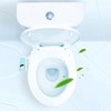 Non Electric Bidet Toilet Seat Attachment Hot and Cold Water