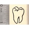 Tooth Rubber Stamp, Molar, Dentist, Dental