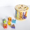 Montessori N' Such Wood Carousel Shape Sorter