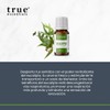 Aceite Esencial Eucalipto 15ml True Essentials, colección de Aceites Esenciales