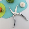 Poultry Shears, Poultry Shears, Test Winner, Kitchen Scissors, Meat Scissors,