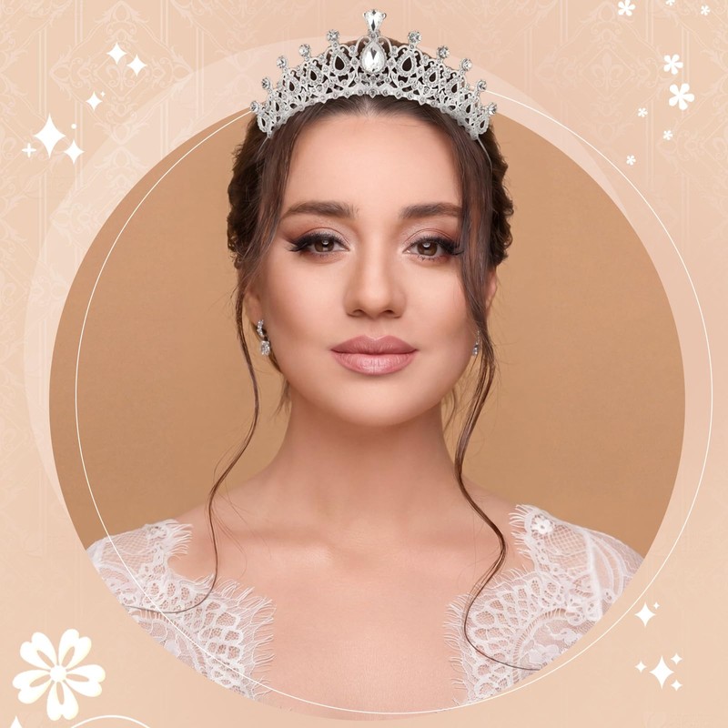20 Pcs Crystal Queen Tiara Crown for Women with Combs,