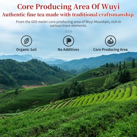 CHADUO Dahongpao Oolong Tea Loose Leaf Da Hong Pao Oolng Tea From Wuyi Mountain Big Red Robe Ulong With Orchid & Caramel Notes Grade AAA Wuyi Rock Tea 120g 4.23oz 特级大红袍 乌龙茶