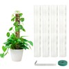 Plant Plastic Moss Pole Moss Supports Climbing Plant Poles Tortoise
