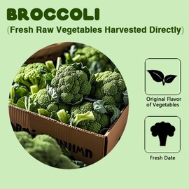 Freeze-Dried Broccoli Crunch - 100% Natural, No Additives | 1.76oz (50g) | Vegan, Non-GMO, Keto-Friendly | Perfect for Snacking, Camping & Cooking. Organic Freeze-Dried Broccoli Florets - 50g | Single-Ingredient Vegetable