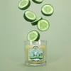 Colonial Candle Cucumber Fresca Scented Jar Candle, 2 Wick, 3.5