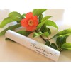 BlancNeige Lip Balm Contains Natural Vitamin E Royal Jelly for
