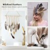 40pcs Natural Pheasant Feathers Bulk Spotted Feathers 5 Styles Mixed