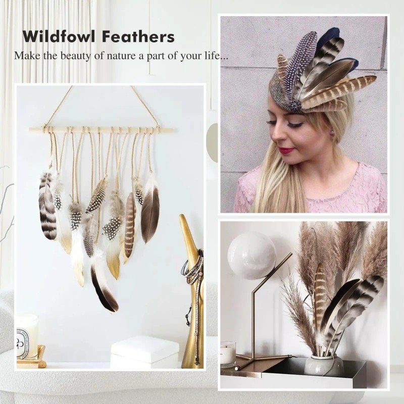 40pcs Natural Pheasant Feathers Bulk Spotted Feathers 5 Styles Mixed