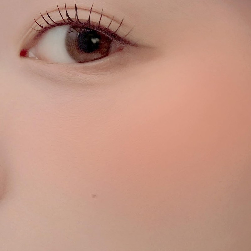 【Dinto Official】Blur Finish Blusher 503 Spunky Kafka/Spunky Kafka Korean Cosmetics