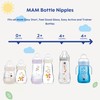 MAM MAM Bottle Nipples Slow Flow Nipple Level 1, for