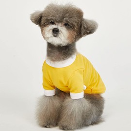 Lucky Petter Ringer Dog Shirt for Small and Large Dogs Cotton T-Shirts Soft Breathable Dog Shirts pet Clothes (X-Small, Yellow/White)