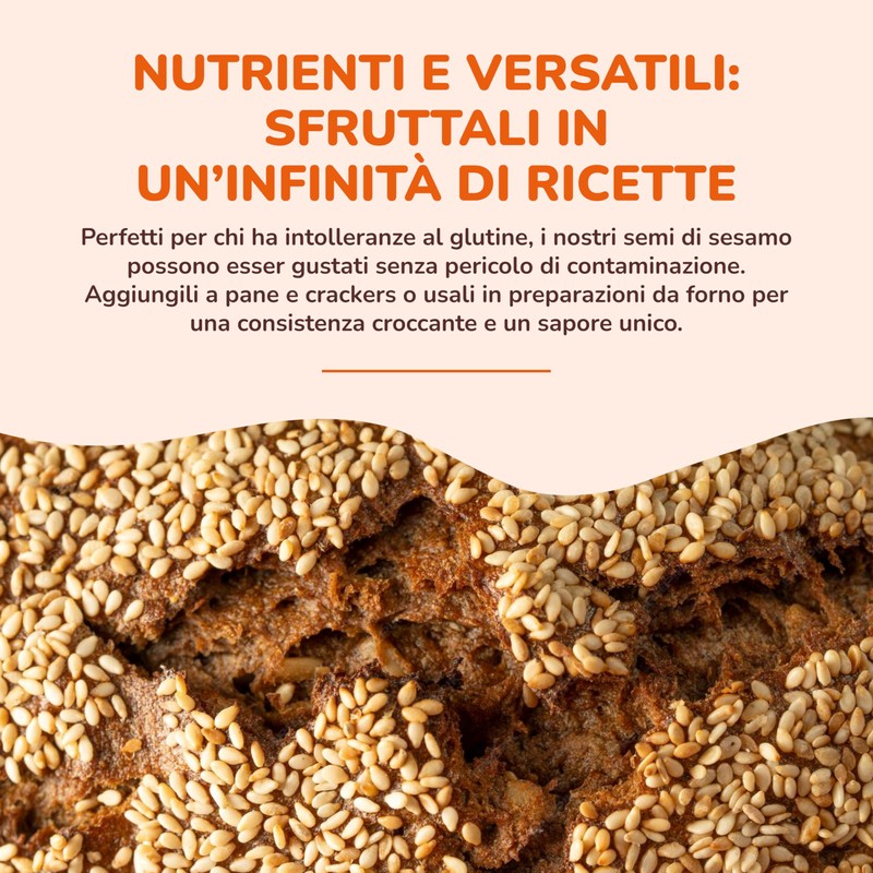 Fior di Loto Semi di Sesamo Bio - Ricco di
