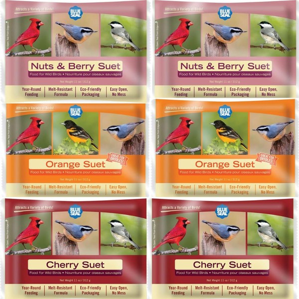 Blue Seal Berry Blend Suet Cakes for Wild Birds - No Mess Suet Feed, Food for Woodpeckers, Cardinals, Siskins, Sparrows & More - 11oz Suet Feeder, Bird Seed Cakes (Variety Pack of 6)