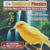 Feathered Phonics Volume 7: The Easy Way To Teach Your