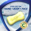 Safeguard Lemon Fresh Antibacterial Soap Bar (Pack of 2) –