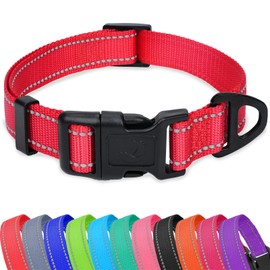 Taglory Reflective Adjustable Dog Collars for Puppy Small Medium Large Dogs, Thin Nylon Webbing and Quick Release Plastic Buckle(Red, Medium)