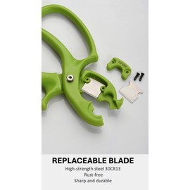 accufine 2 in 1 Flower scissors for Flower Cutting Scissors Professional Floral Scissors and Floral Shears Florist Scissors with Thron Remover Floral Snips for Cut Flowers (AG)