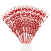 DIYASY Red Berry Stems for Christmas Tree Ornaments, 16.2 in