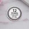 Ukodnus 12 Years Sobriety Coin, AA/NA Medallion Recovery Chips, Sober