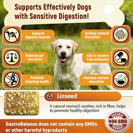 Hunde Probiotika – 100% natürlichen weichen Kausnacks zur täglichen Verdauungsunterstützung von Haustieren (Hühnergeschmack)
