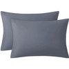 Pamposh Pillow Cases 2 Pack Premium Brushed Microfibre Pillow Covers
