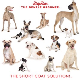 StripHair Pet & Home Bundle 3pc Gentle Groomer 6-in-1 Shed Groom Massage Brush Pouch Bag O' Bamboo Cloths