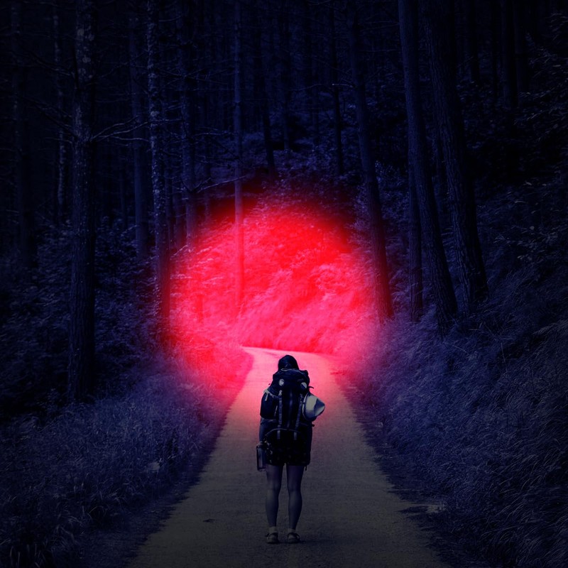 WAYLLSHINE Stepless Dimming Red Light Flashlight, 620nm-630nm High Purity, Adjustable