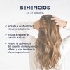 Aceite Puro de Hueso de Chabacano Albaricoque Hebbe Cosmetics 1L