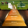 北海道産サラブレッド馬 発酵熟成スーパープラセンタ100 Premium (60粒入り 30日分)