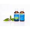 ABOVITAL Mint Oil Japanese Medicinal Plant Oil for Rubbing, Inhaling,