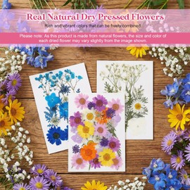 Gugxiom Flores Prensadas Secas para Resina, 20 Bolsas de 400 Piezas de Flores Prensadas, 20 Temas de Colores, Flores Secas para Arte de Uñas, Resina, Diseño de Joyería de (Tipo 10)