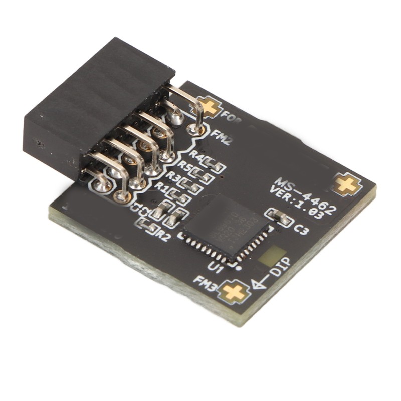 TPM2.0 Module TPM SPI 12Pin Module with SLB 9670 Standalone