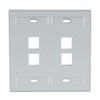 Leviton 42080-4GP 4-Port Dual Gang QuickPort Wallplate with ID Windows,
