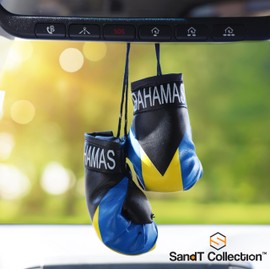 SandT Collection Country Flag Mini Boxing Gloves - Hanging Punching Gloves (Bahamas)