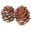 com-four® 50 x Decorative Cones Larch - Scatter Decoration for