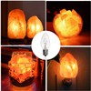 OHLGT Salt Lamp Light Bulbs 15 Watt 6 Pack, Himalayan