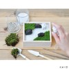 SEISHIN TOUGEI Moss Garden Kit