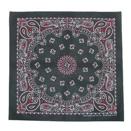 CTM® Multi Color Paisley Bandana, Black with Red