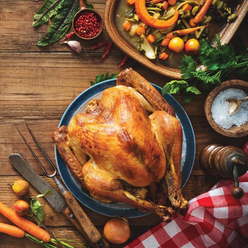 HIC Kitchen Roasting Turkey Lacer Kit: Reusable Pins & Butcher’s