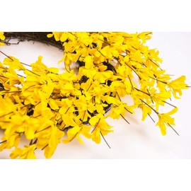 20 Inch Yellow Forsythia Wreath Fall Front Door Wreath Flower Farmhouse Rustic Grapevine Wreath Blossom Cluster Wreath for Festival Celebration Front Door Wall Window Party Decoration Home Décor