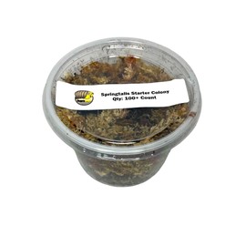 Bugzy Bugs Springtail Live 100+ Count (16oz) Culture Starter Colony Bioactive Cleanup Crew Terrarium Feeder Vivarium Janitors