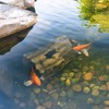 Aquascape Faux Log Fish Cave, Predator Control and Decorative Shelter