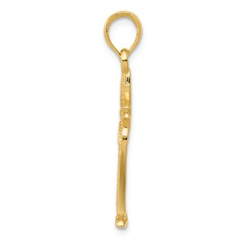 FJC Finejewelers 14k Yellow Gold Polished and Textured Palmetto Palm Tree Charm