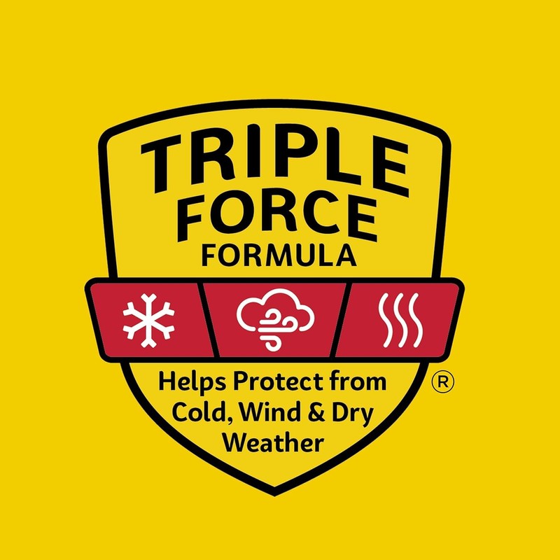 Carmex Lip Balm Tubes (Pack of 12) by Carmex