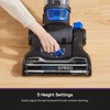 Eureka Lightweight Powerful Upright Vacuum Cleaner for Carpet and Hard