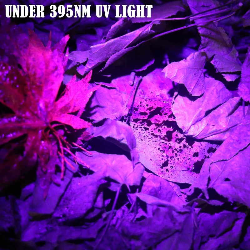 LUMENSHOOTER B2 Blood Tracking Light for Deer, Blood Tracker Flashlight