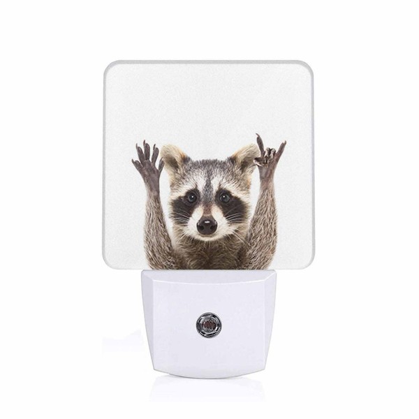 Chrobak LED Night Light,Funny Cute Raccoon LED Night Light Plug