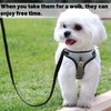 Cat Harness and Lead Set, No Escape 5 M Automatic