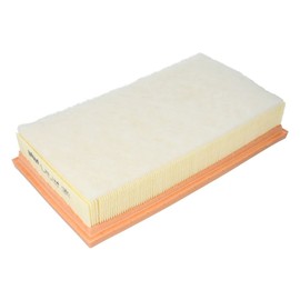 Original MANN-FILTER Air Filter C 29 124 – For Passenger Cars